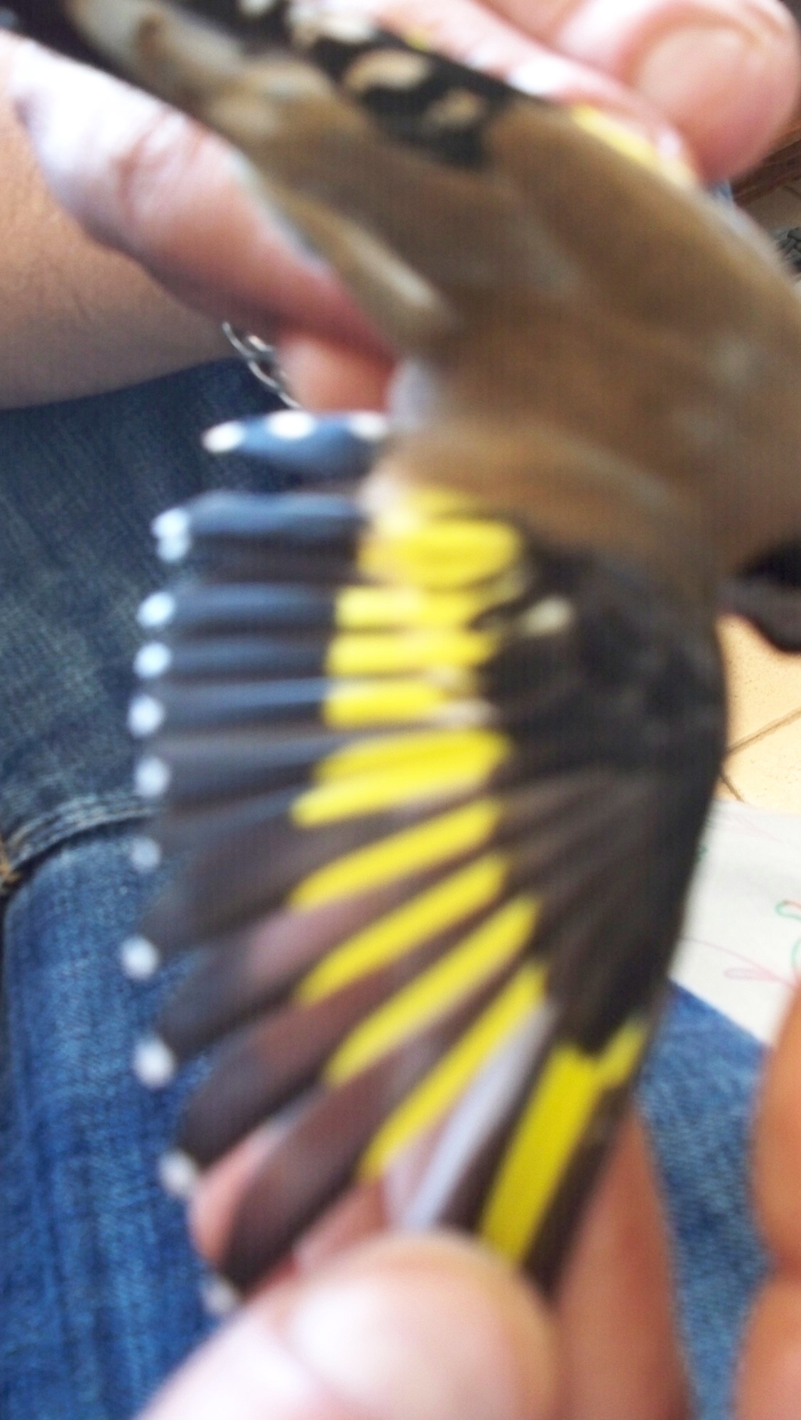 100_4679.JPG