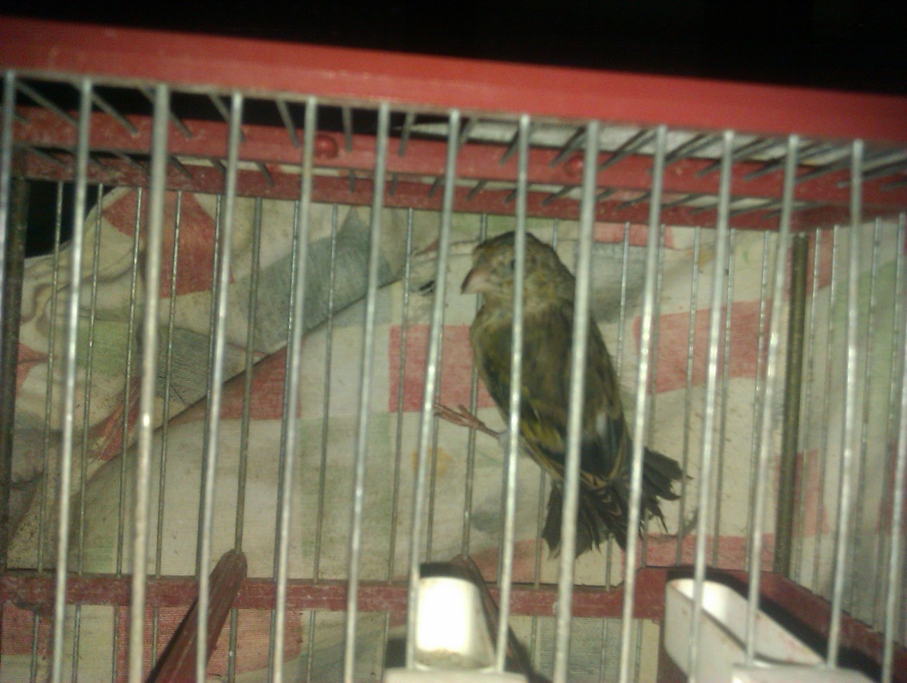 IMAG0200.jpg
