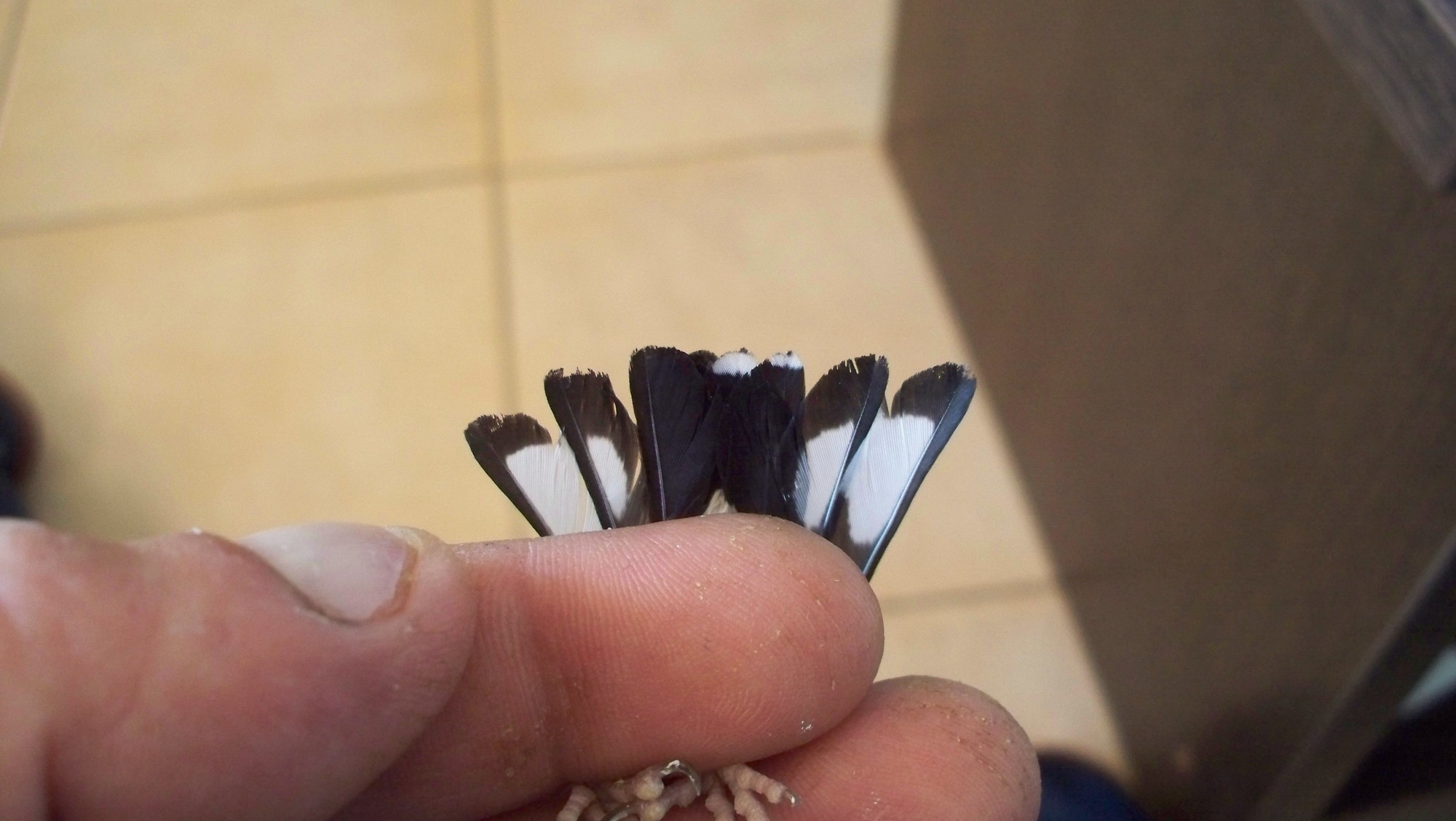 100_4686.JPG