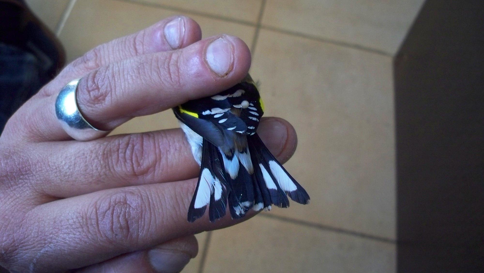 100_4687.JPG