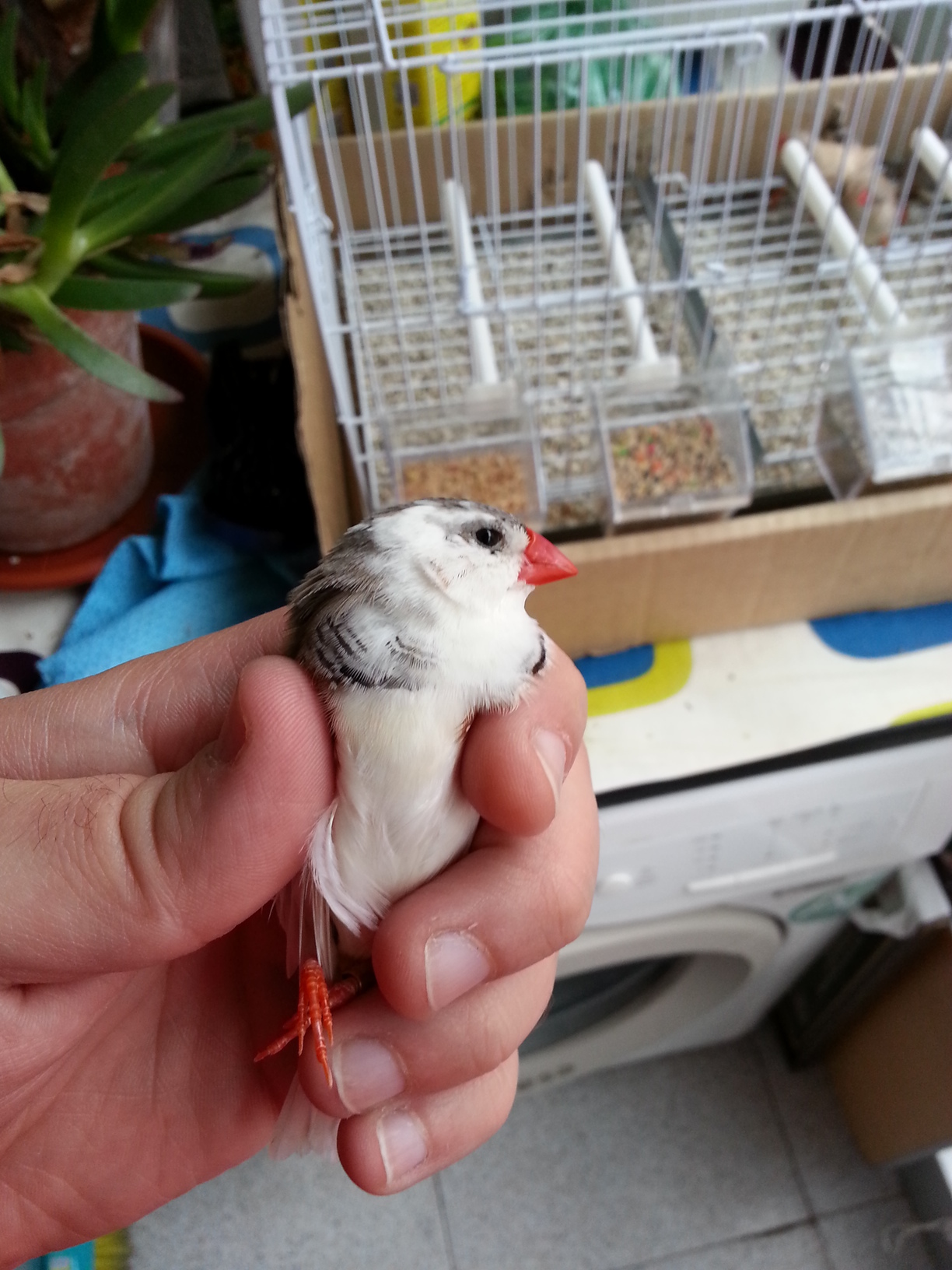 20131025_124646.jpg