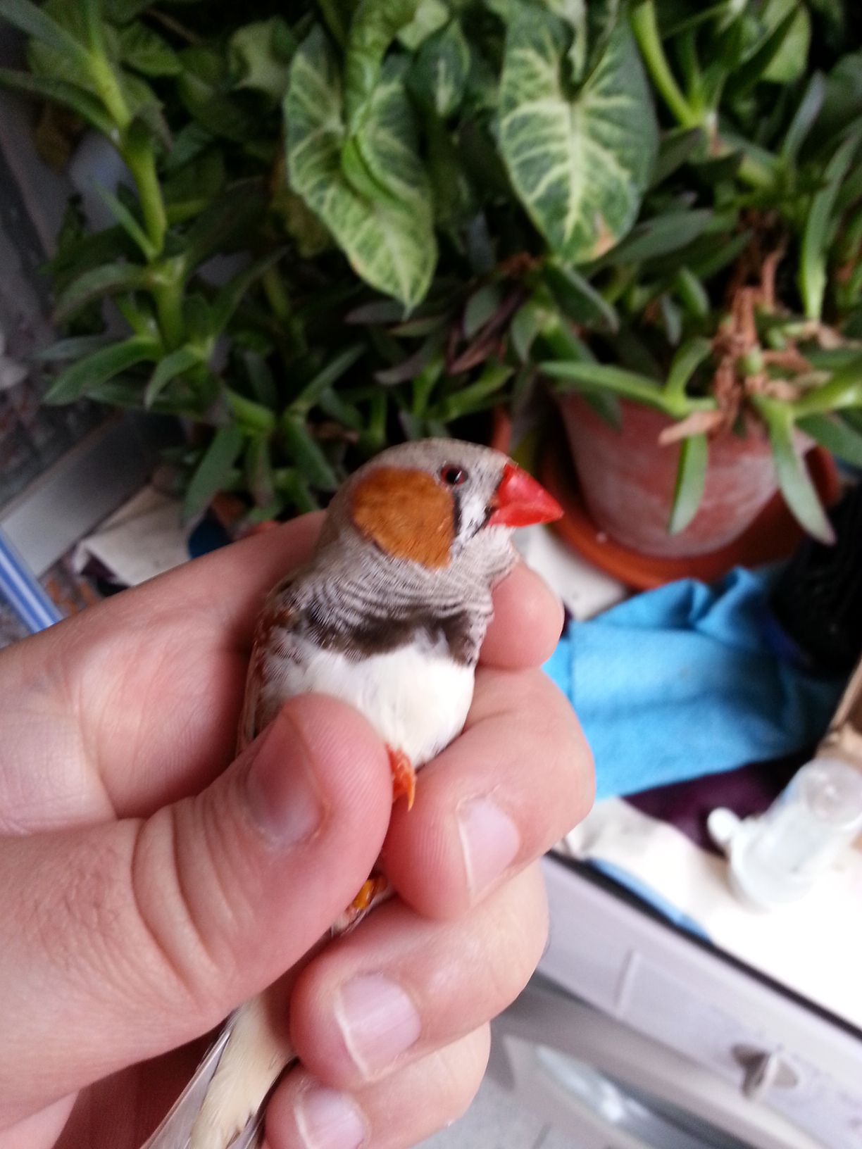 20131025_124855.jpg