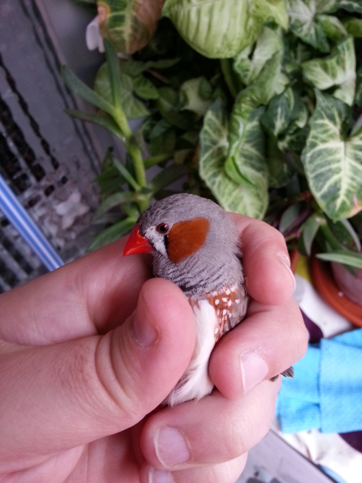 20131025_124919.jpg