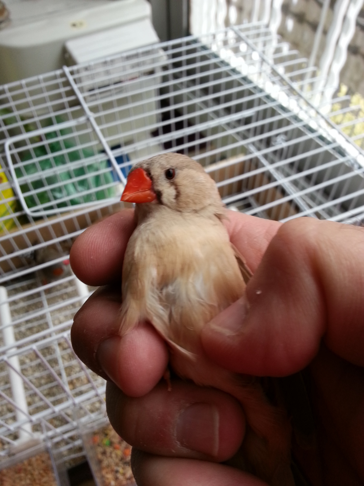20131025_125105.jpg