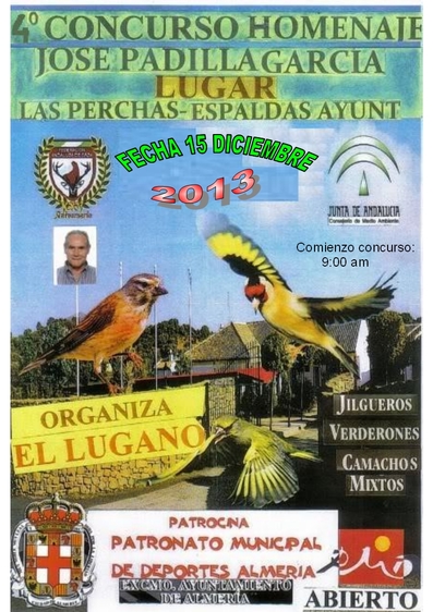Cartel concurso lugano 2013 3 bueno.jpg