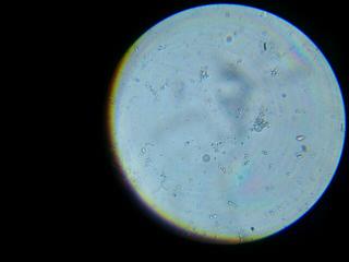 rps20131027_210018[1].jpg