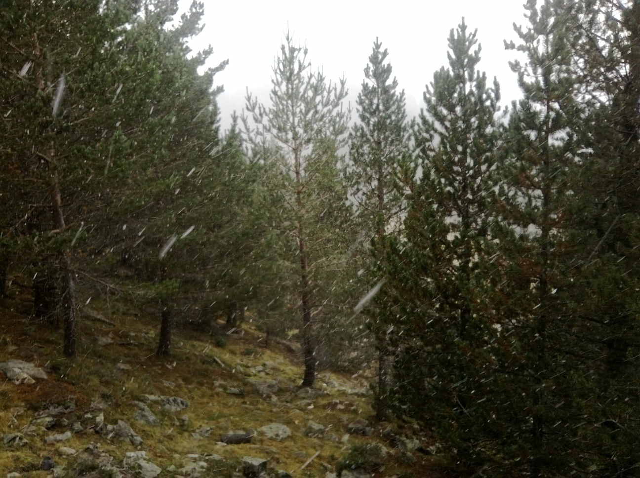 WP_20131029_002.jpg