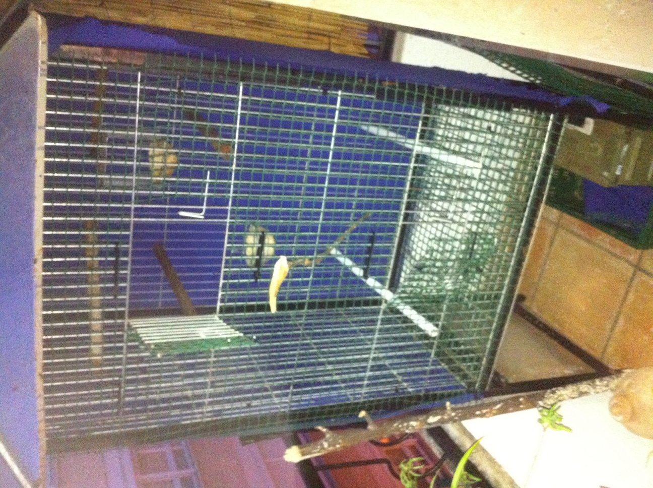 Esta es la jaula no se pude separa