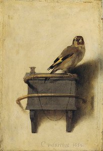carel-fabritius-el-jilguero.png