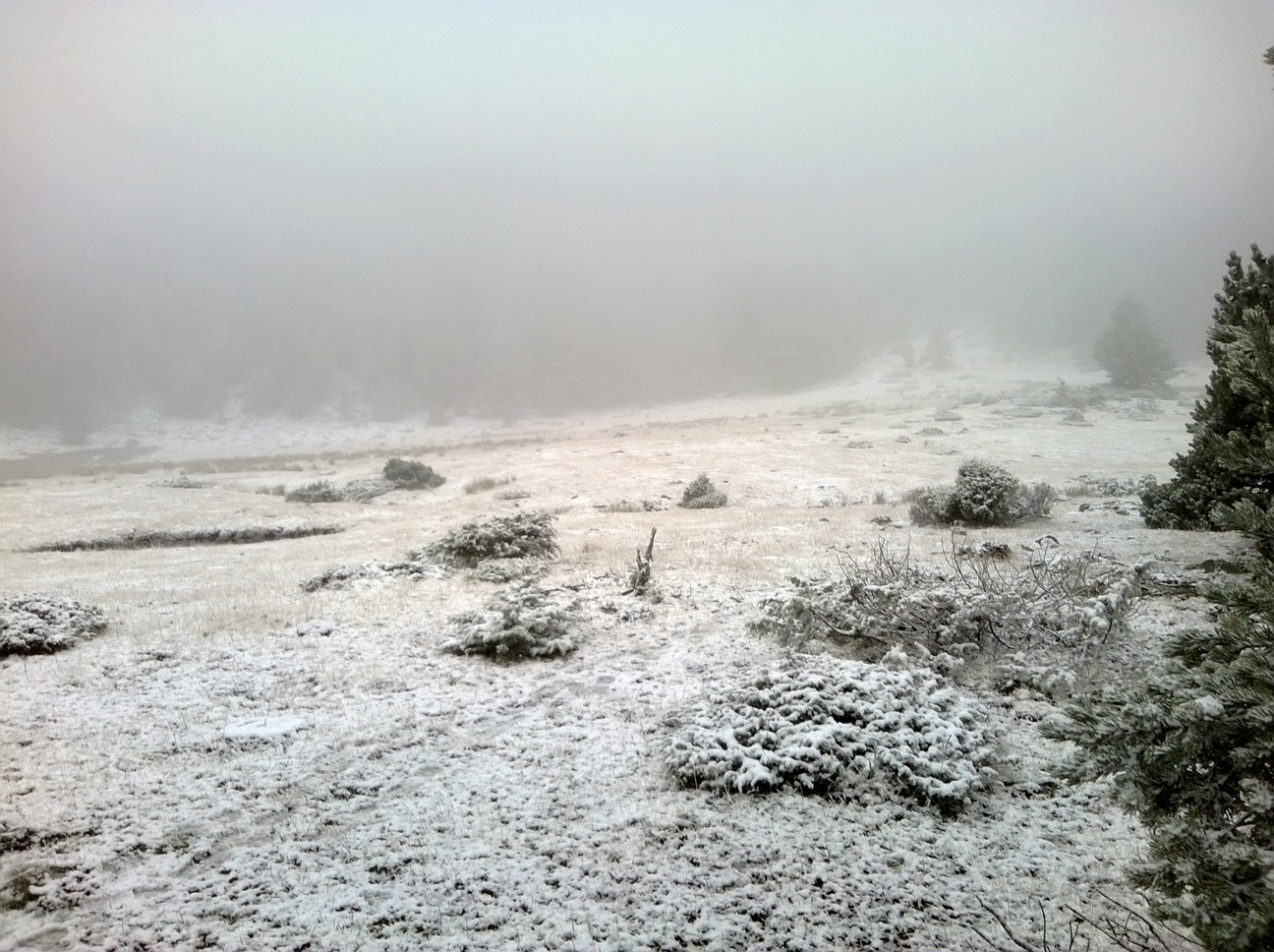 WP_20131030_010.jpg