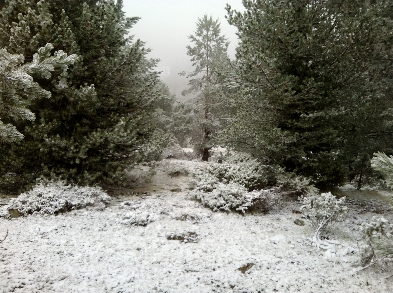 WP_20131030_011.jpg