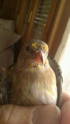 IMG-20131030-WA0001.jpg