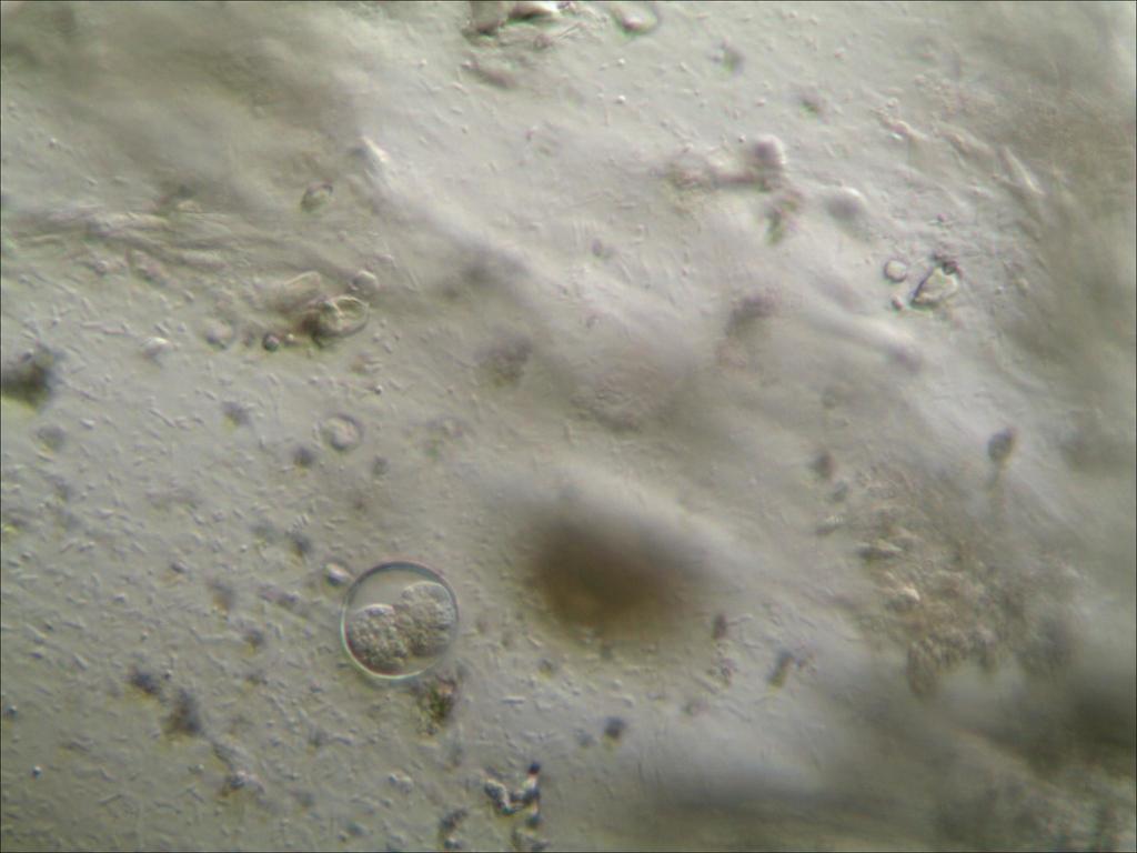 TS_11_01_13_06_56.jpg