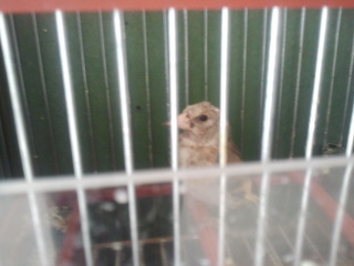 2013-11-03 11.47.39.jpg