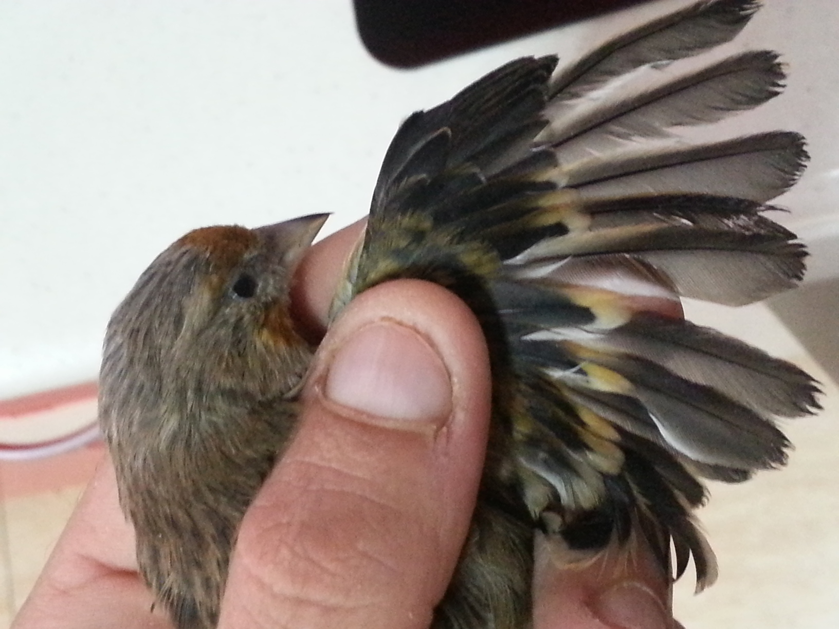 20131104_171339.jpg