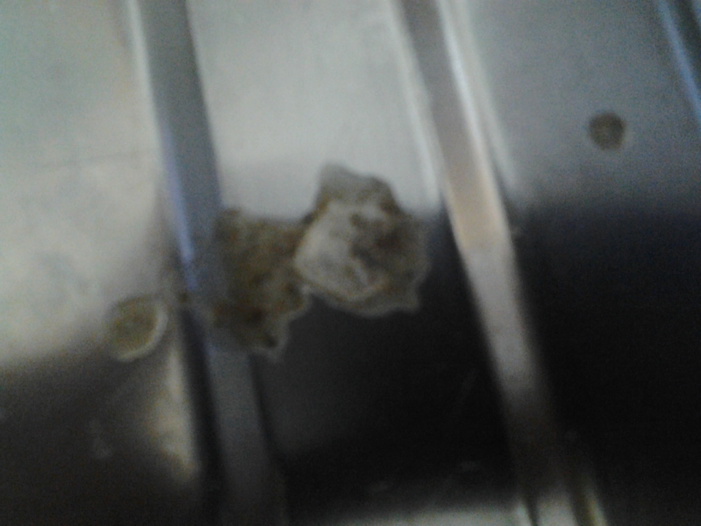 estas son las heces de ayer