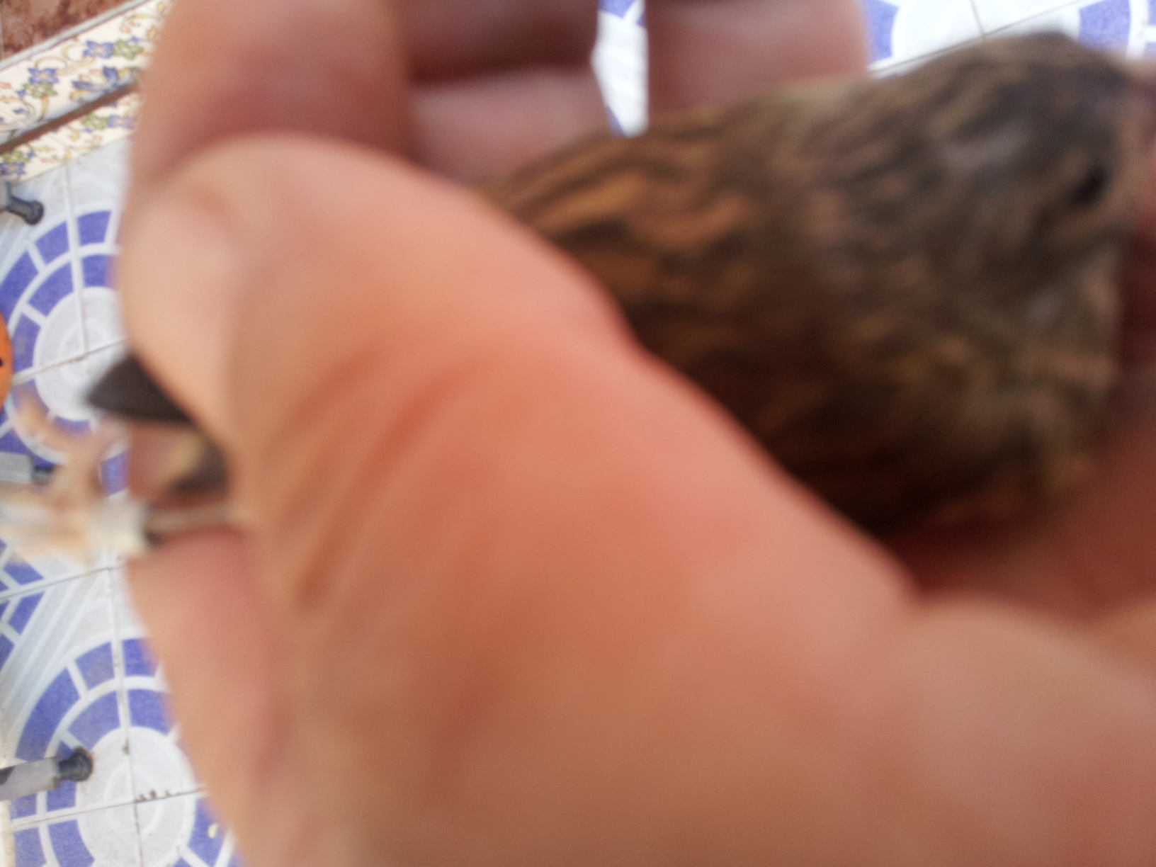 20131105_145925.jpg