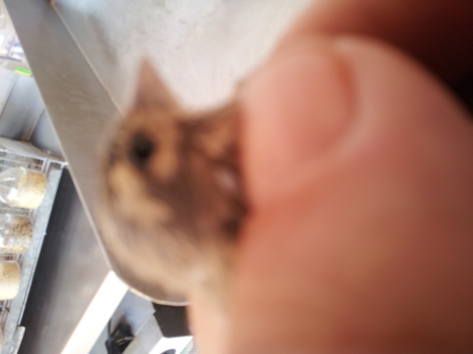 20131105_145614.jpg