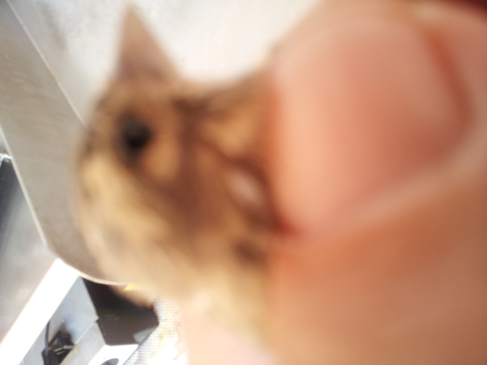 20131105_145602.jpg