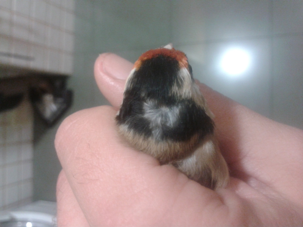 2013-11-05 18.39.25.jpg