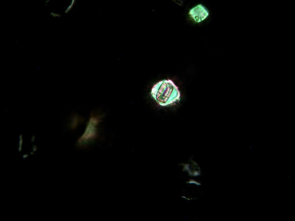 TS_11_05_19_40_39.JPG