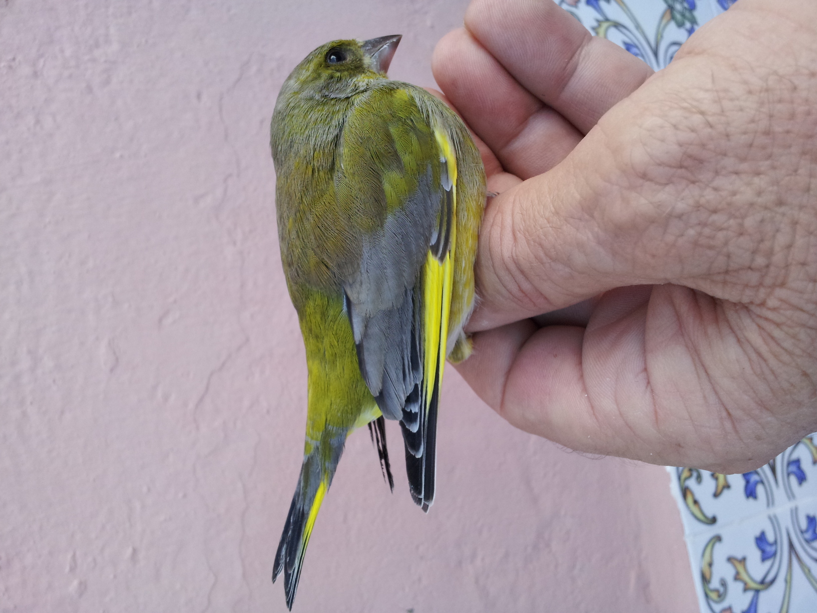 20131107_162929.jpg