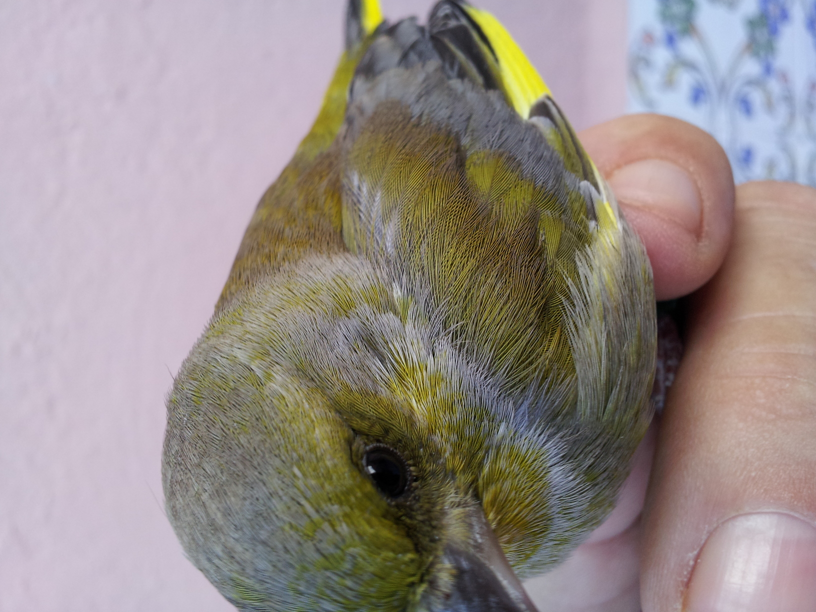 20131107_162957.jpg