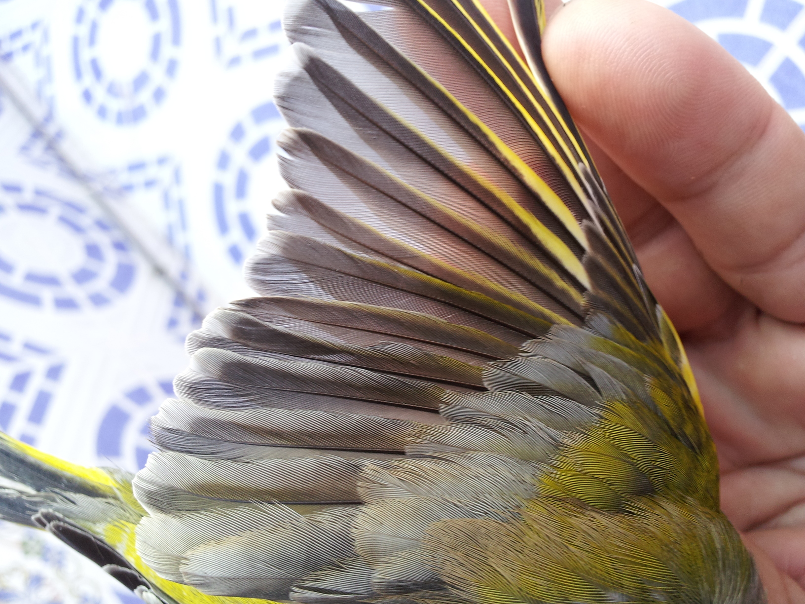 20131107_163055.jpg