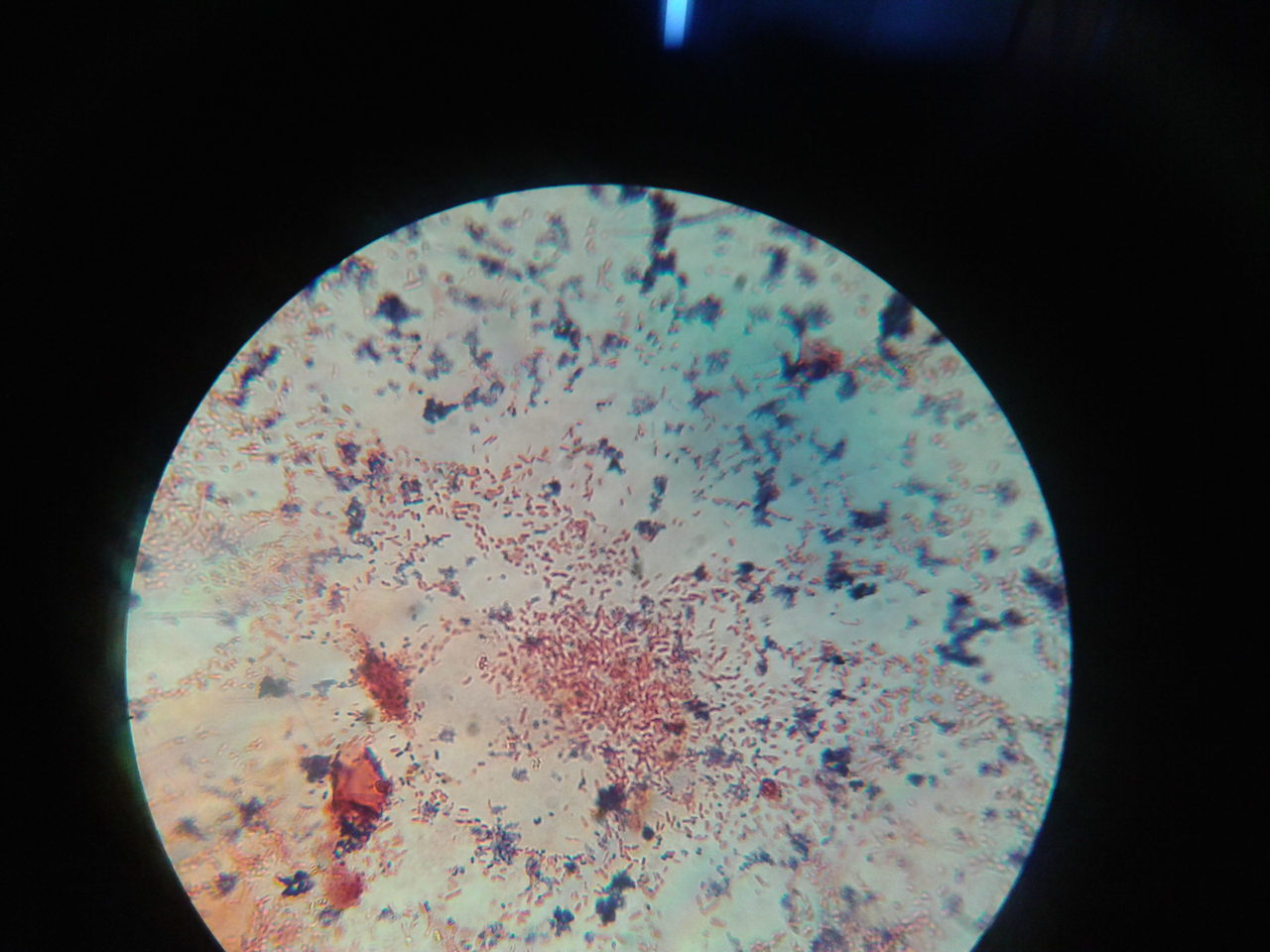 2013-11-06 20.58.04.jpg