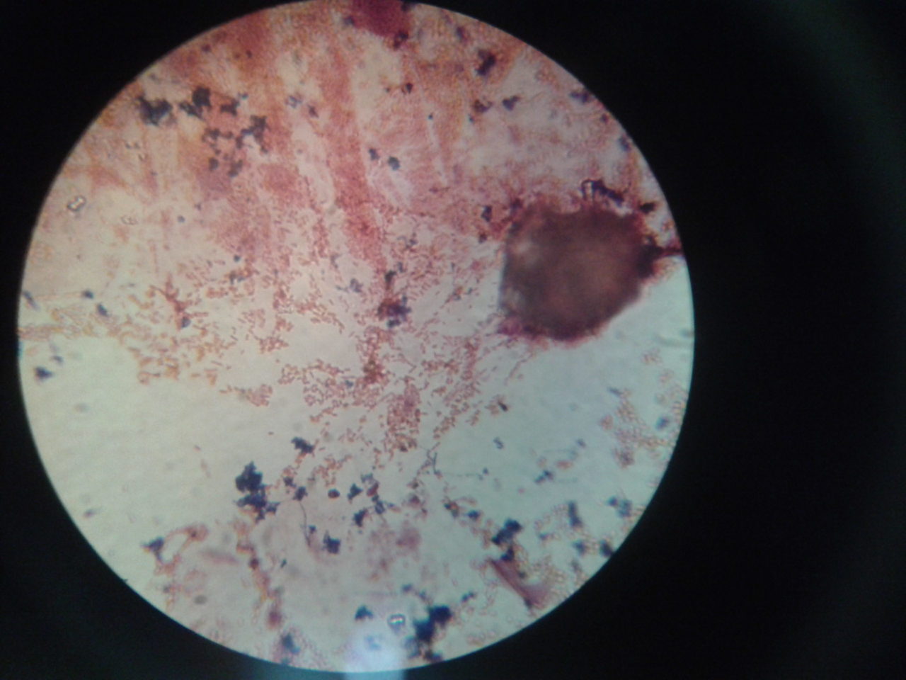 2013-11-07 19.39.07.jpg