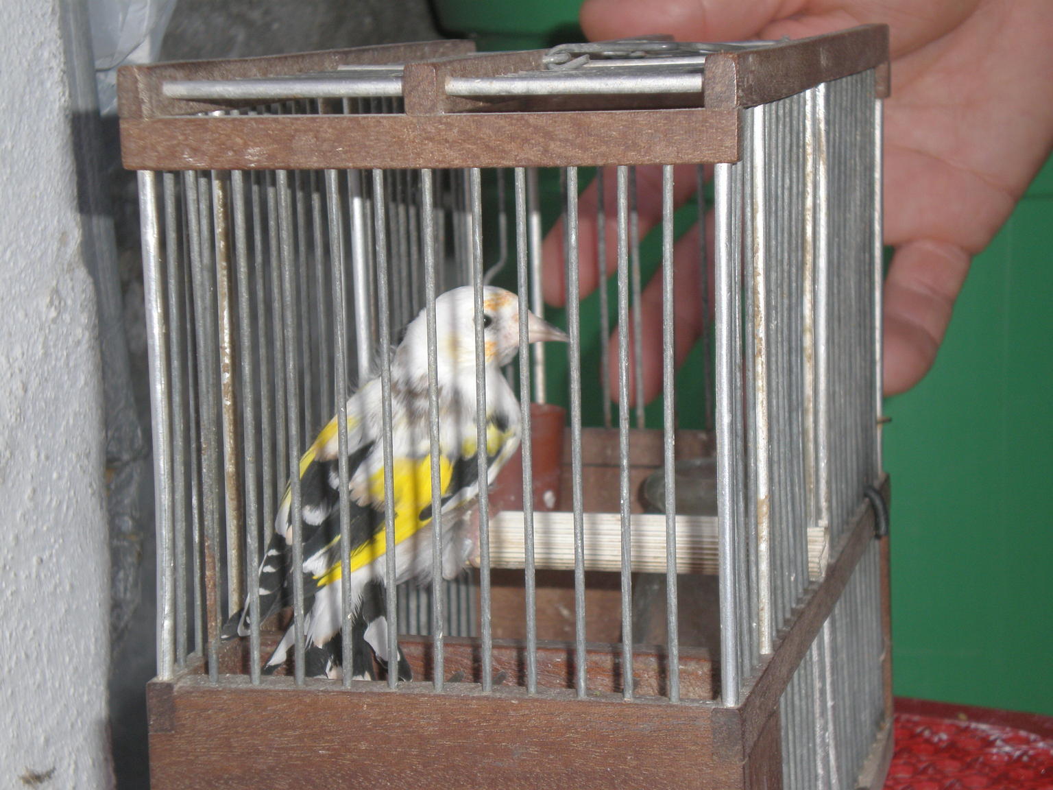 PB141651.JPG