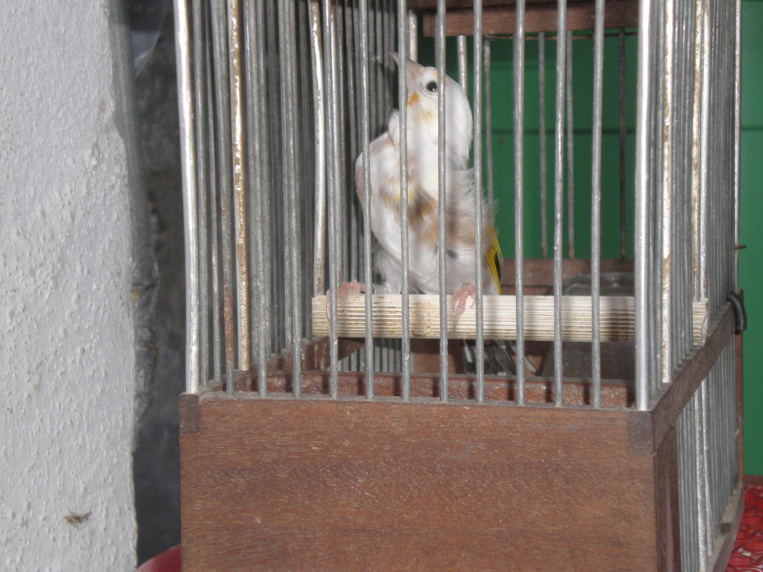 PB141652.JPG