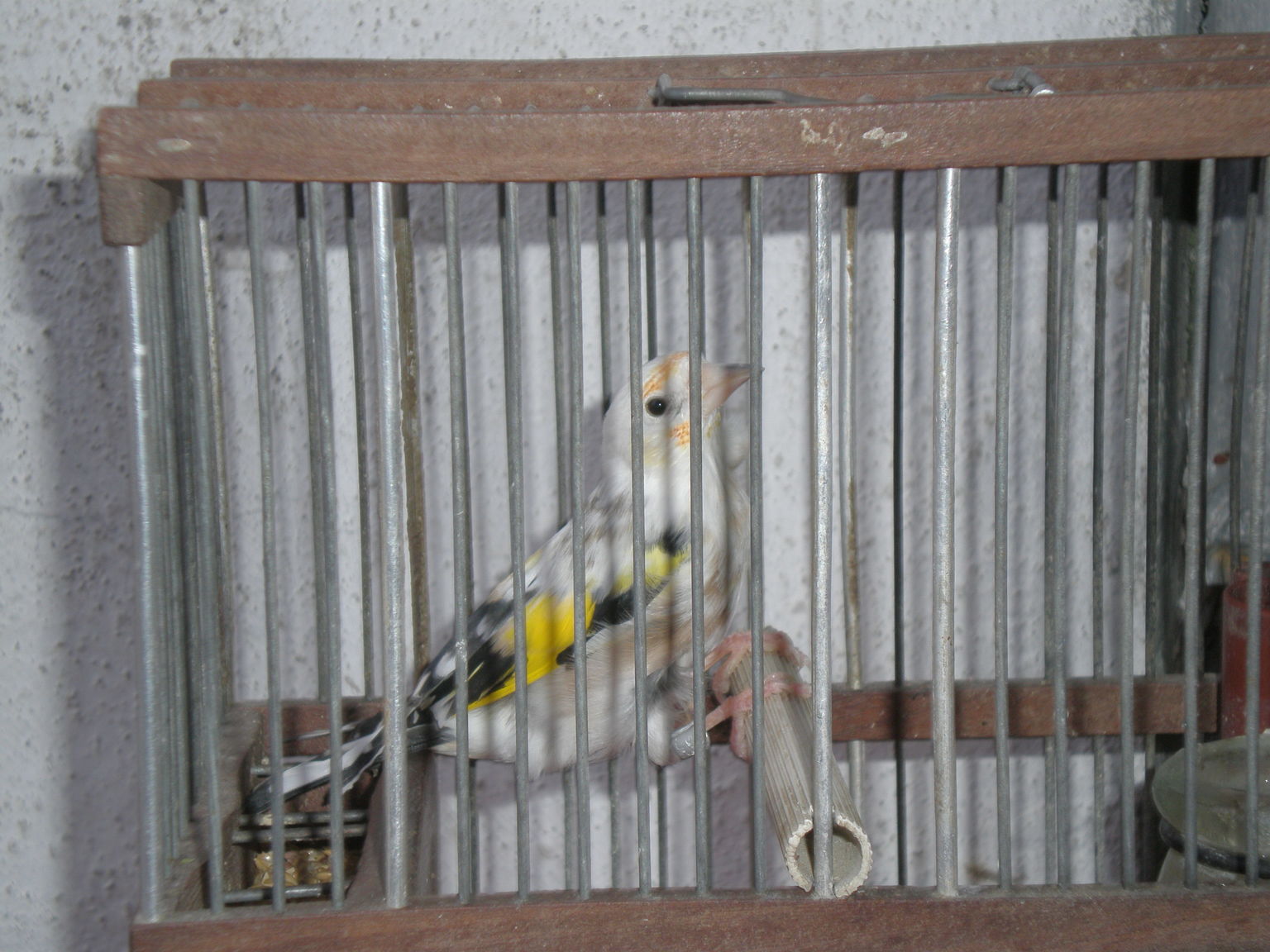 PB141654.JPG