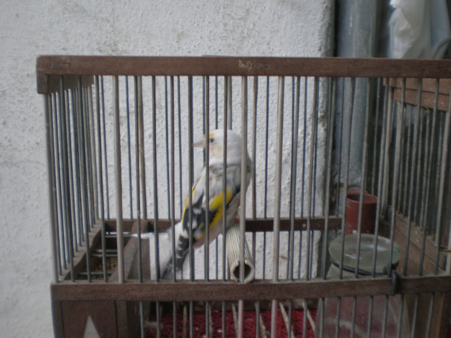PB141657.JPG