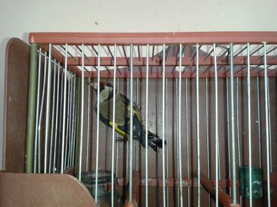 IMG-20131115-WA0003.jpg