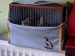 2013-06-04 19.15.15.jpg