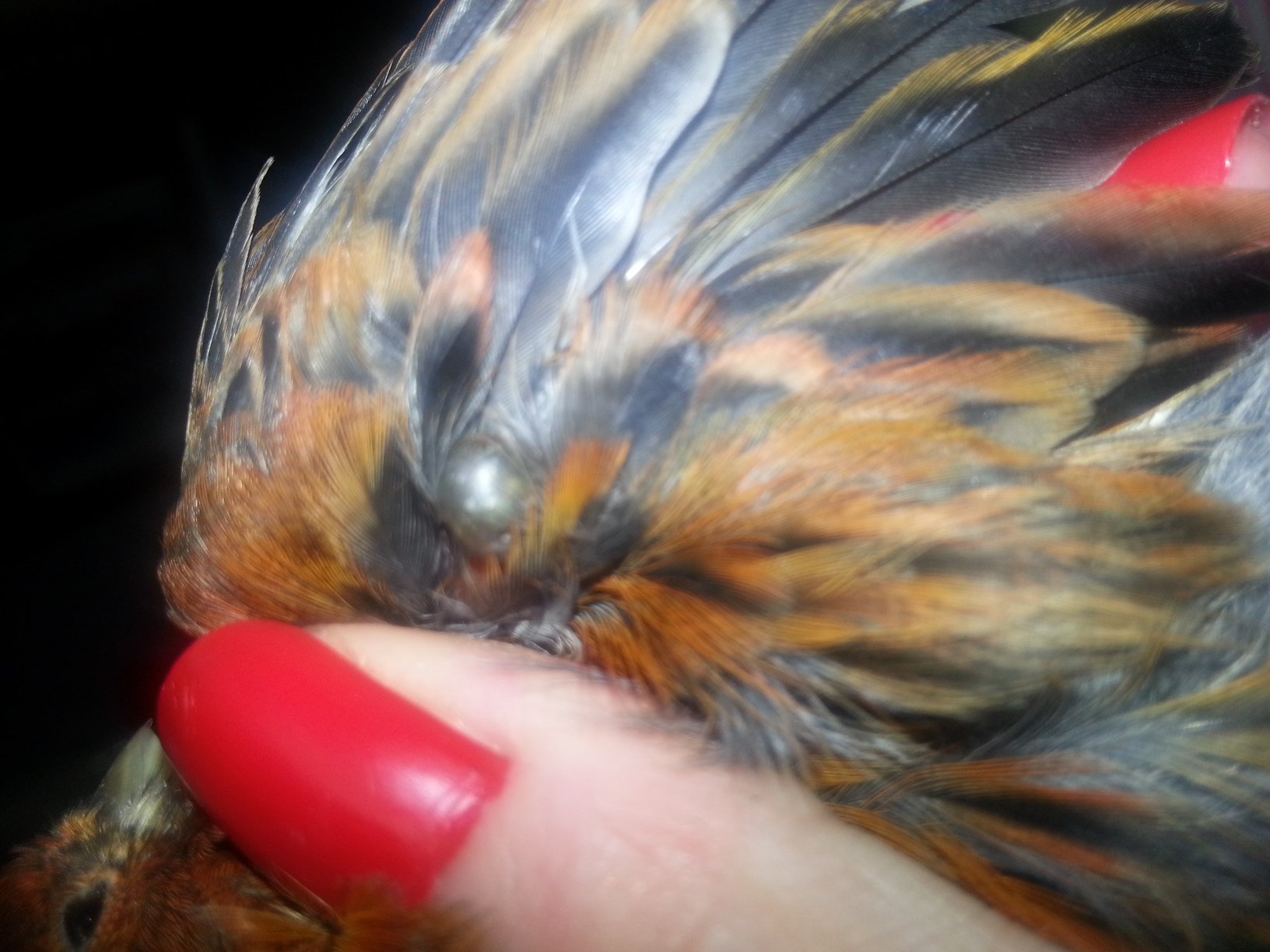 IMG-20131118-WA0014.jpg