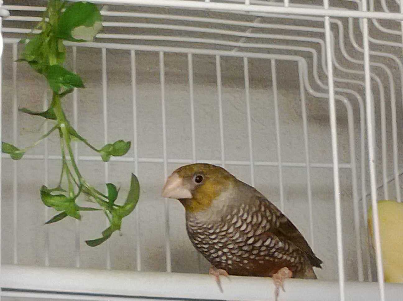 WP_20131118_009.jpg
