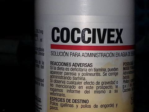 coccivex.jpg