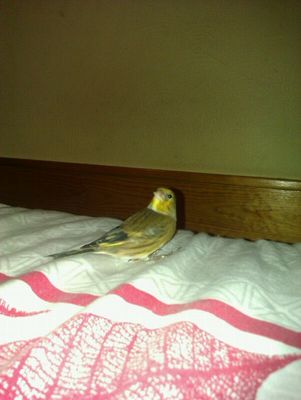 IMG-20131118-WA0005.jpg