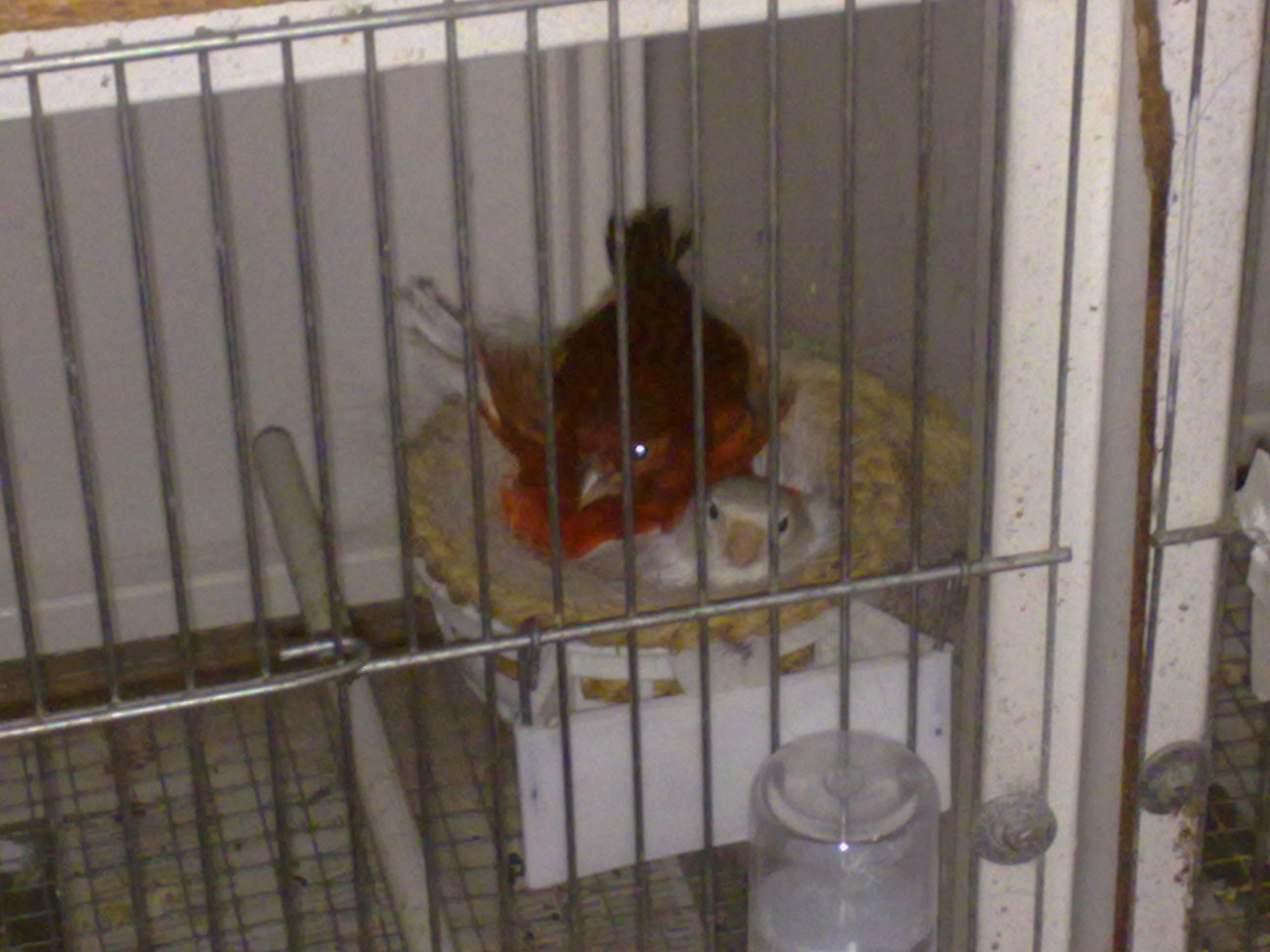 25032011081.jpg