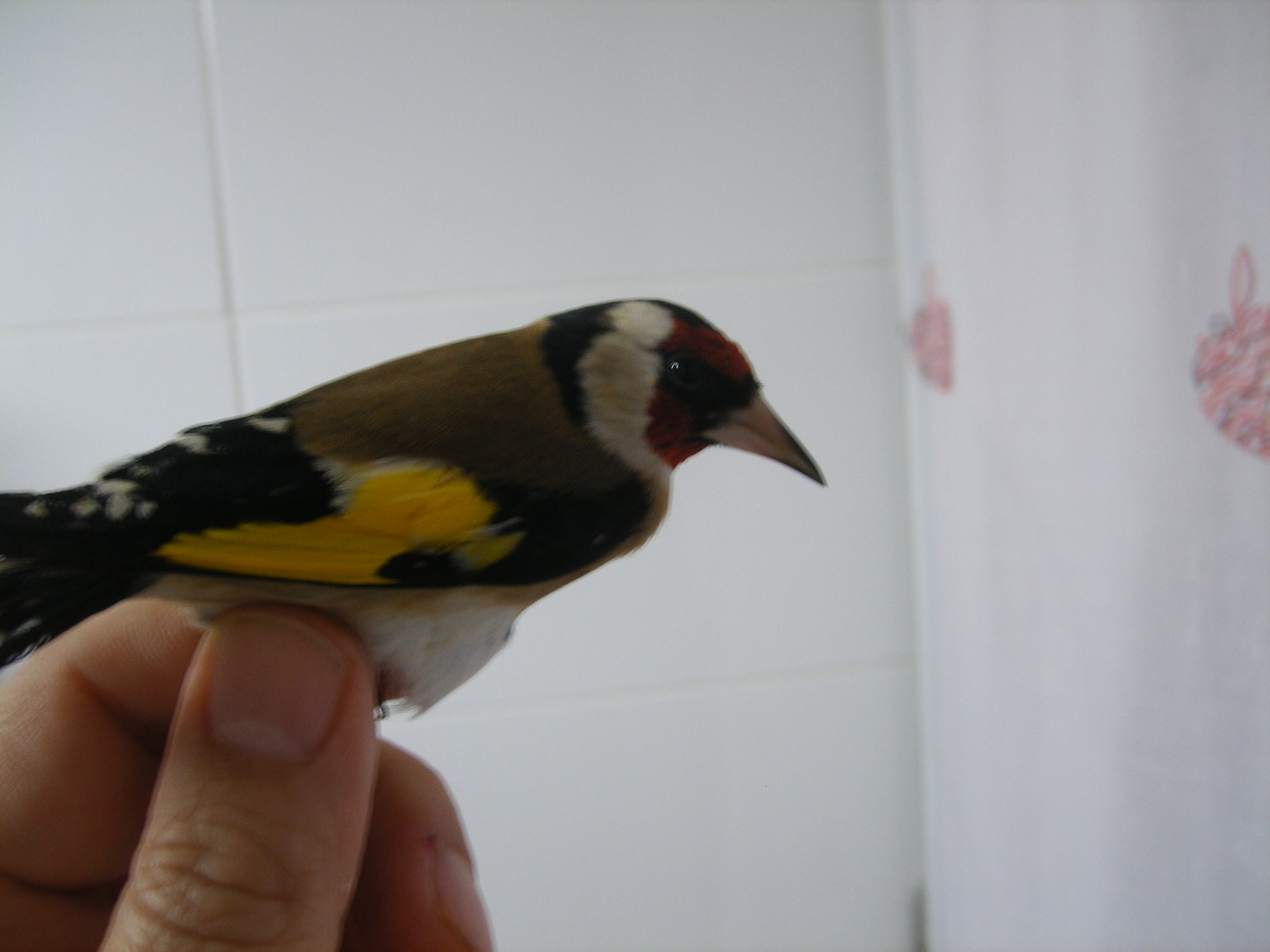 DSCF0479.JPG