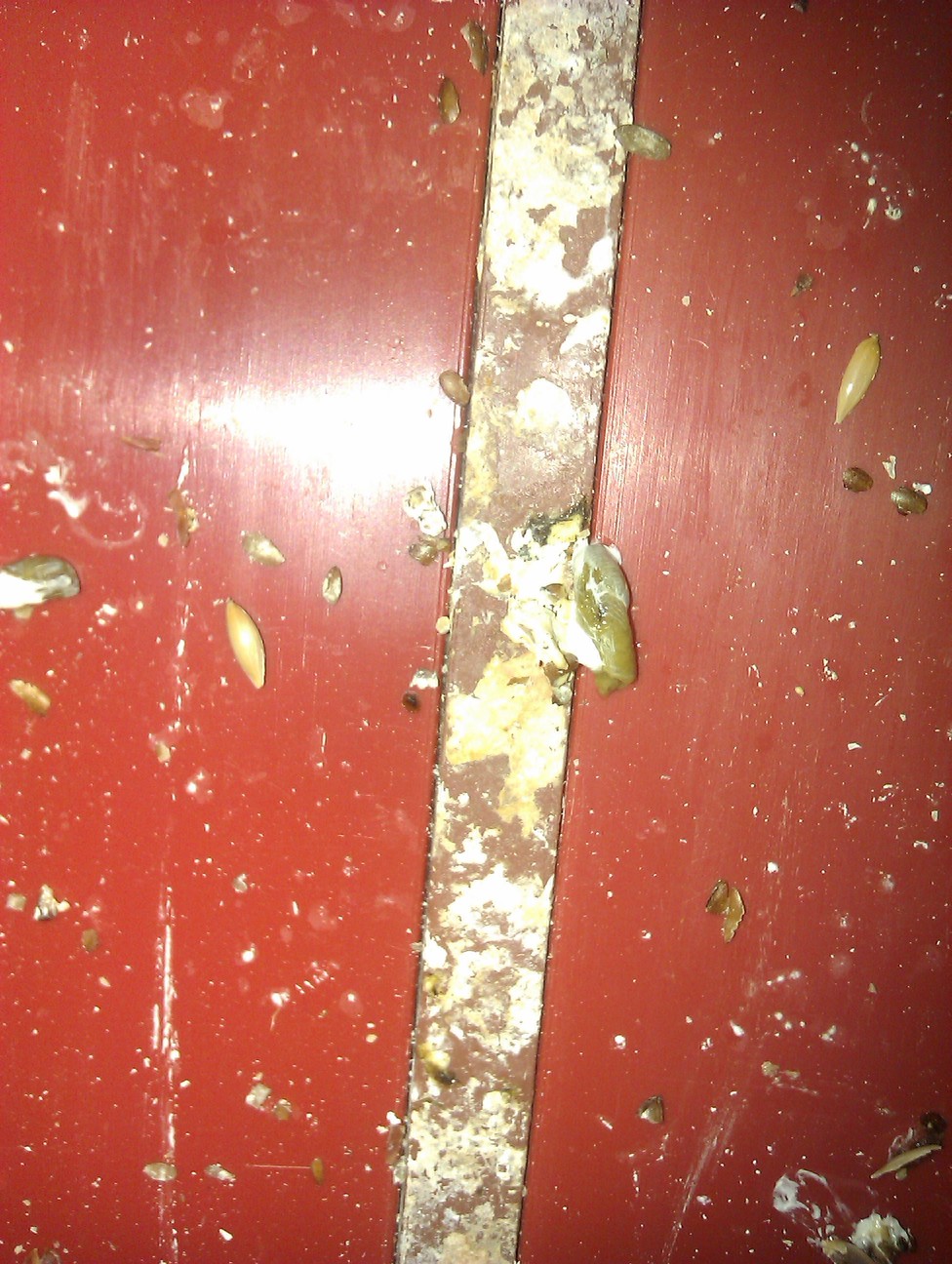 IMAG0322.jpg