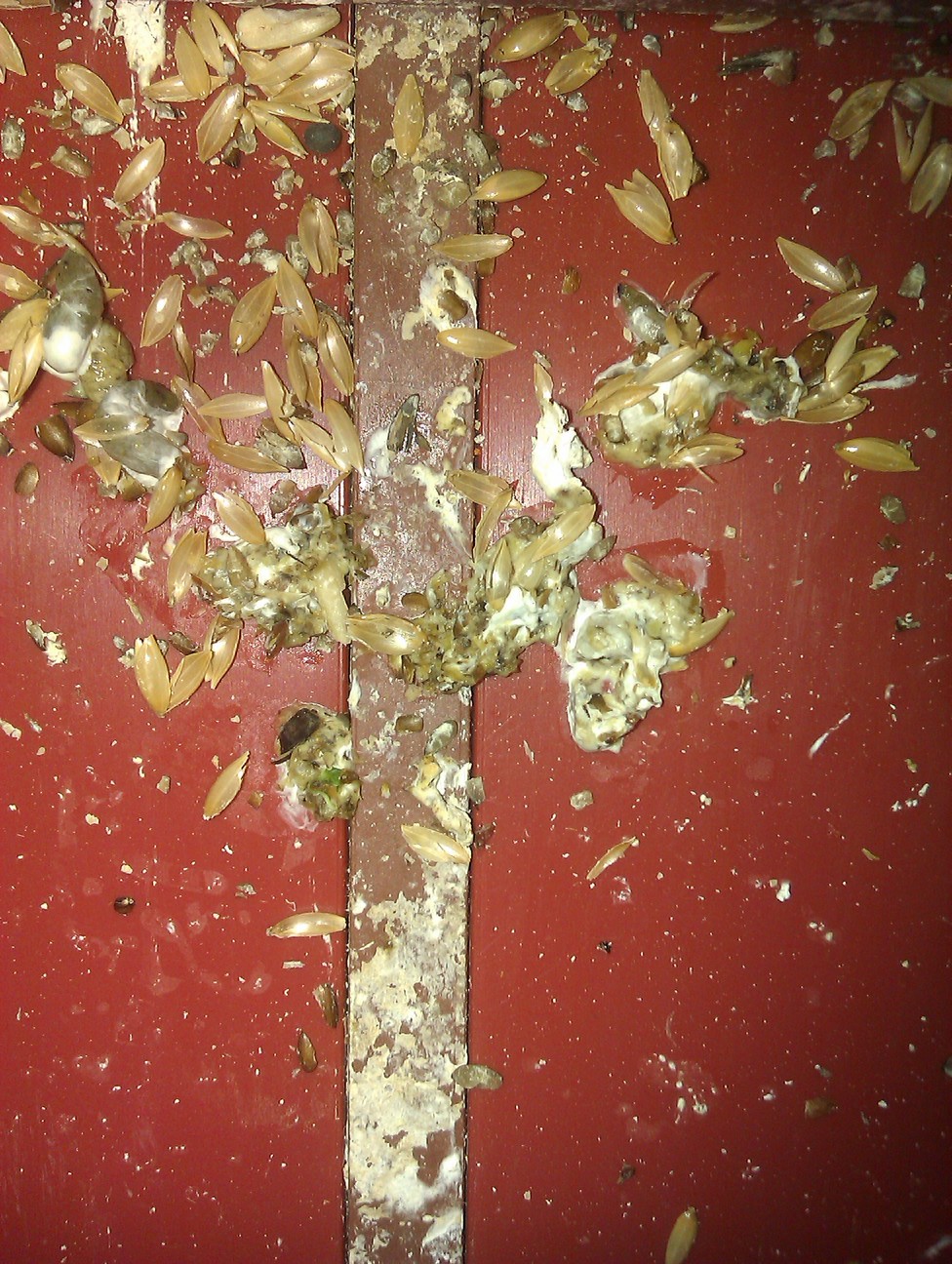 IMAG0321.jpg