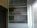 Foto0783.jpg