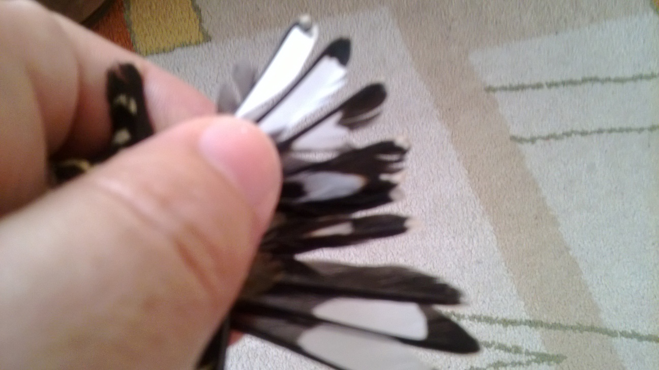 WP_20131123_009.jpg