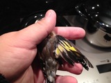 ImageUploadedByTapatalk HD1385457140.036049.jpg