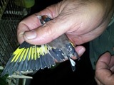 ImageUploadedByTapatalk HD1385469218.310891.jpg