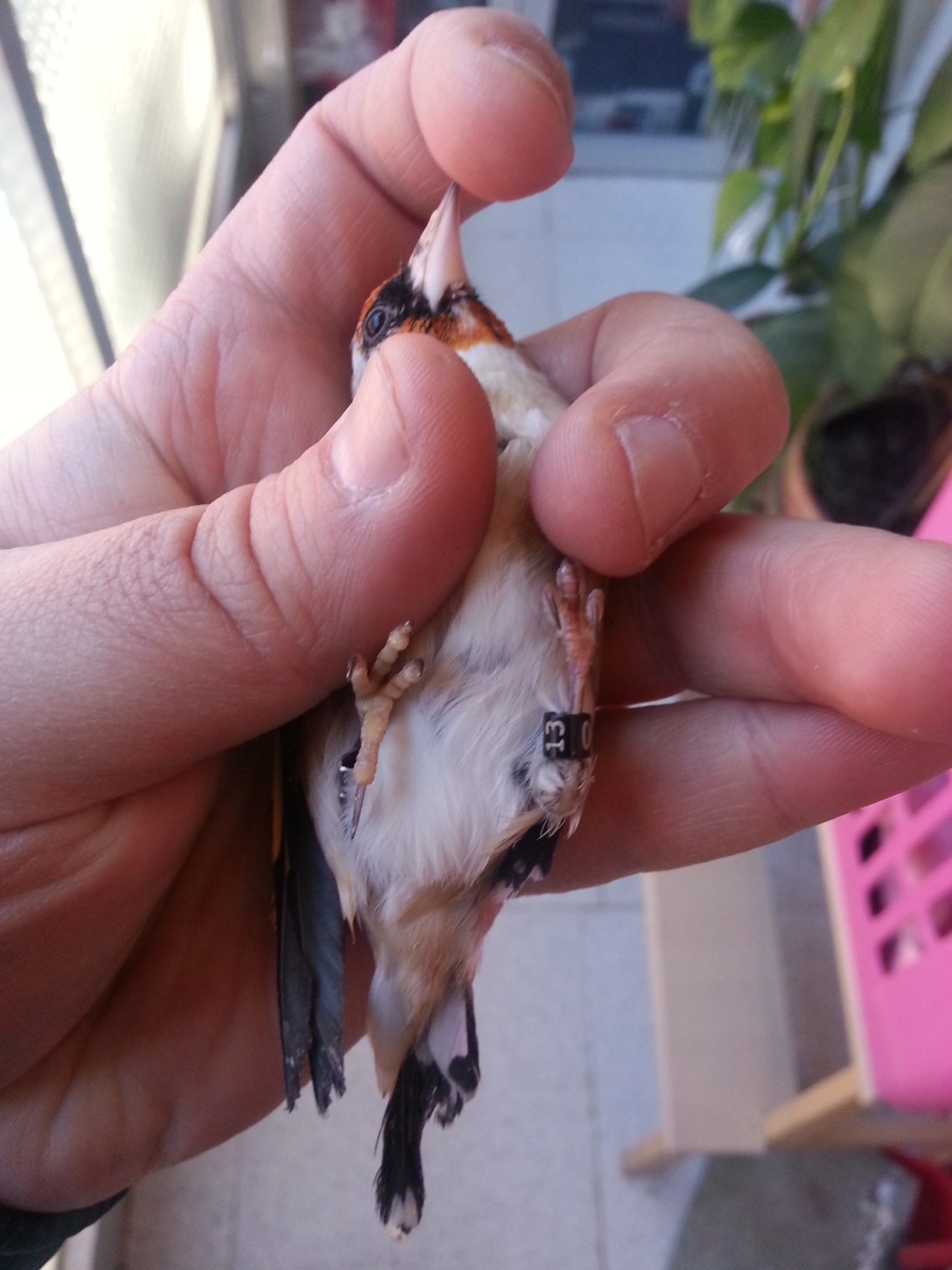 20131127_145833.jpg