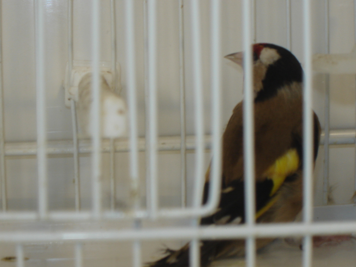 DSC03385.JPG